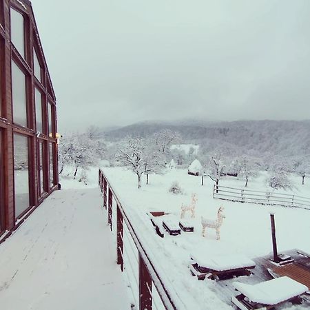 Le Chalet M - Cabana Cu O Panorama De Poveste. Surdesti  المظهر الخارجي الصورة